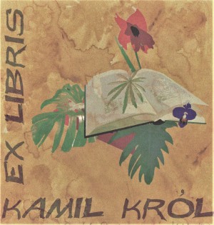 Kamil Krol