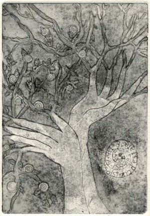 Elisa Raverino