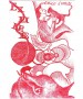 Marina Salvadori