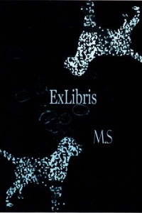 Sec. School 2015: The Best Friends